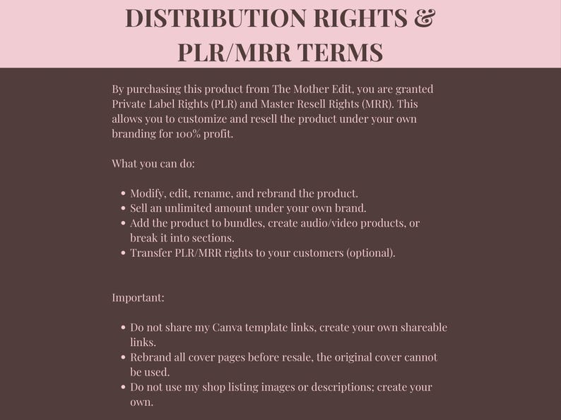 Faceless Creator Starter Kit | PLR & MRR Digital Products, Done For You DFY Canva Templates for Passive Income - Image 3