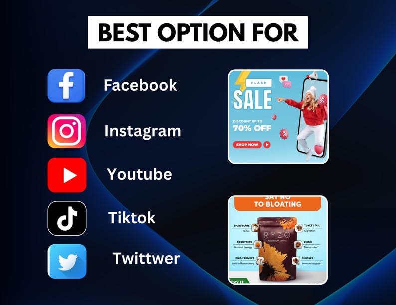 250+ Winning Canva Ad Templates Bundle | Facebook, Ecommerce & PLR Resell Rights - Image 3